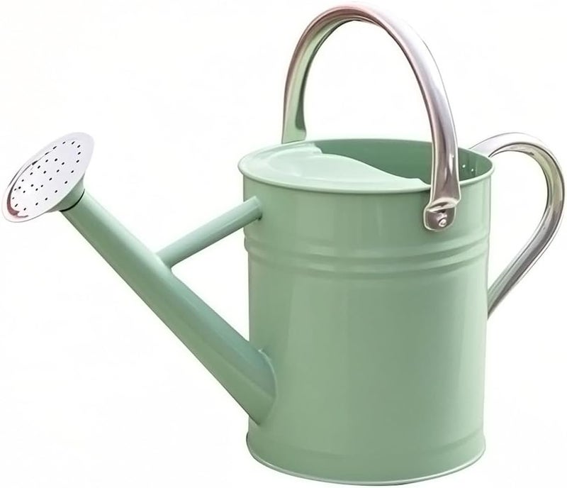 yourjoy Metal Watering Can, One Gallon Watering Cans Stainless Steel for Outdoor Indoor Garden Plants Watering (Cream Green) - Image 1